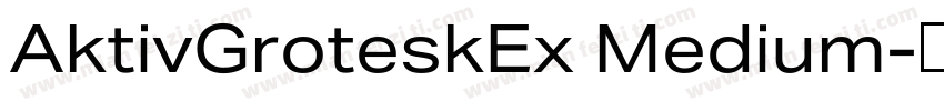 AktivGroteskEx Medium字体转换
